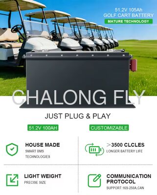 OEM ODM LiFePO4 High Capacity 51.2v 105ah MAX BMS 200A Golf Cart Battery Electric Three-wheel Lithium Ion Battery Packs