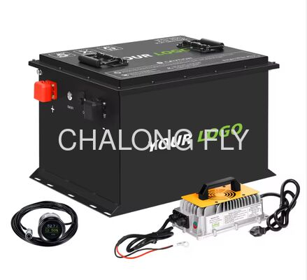 80Ah 40Ah 60Ah 100Ah 120Ah Optional Nominal Capacity Electric Vehicle Battery Pack Equipped with RS485 Communication