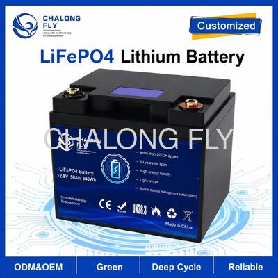 Custom 12.8V 50Ah LiFePO4 Battery Pack with Built-in BMS for RV Campervan and Auxiliary Power