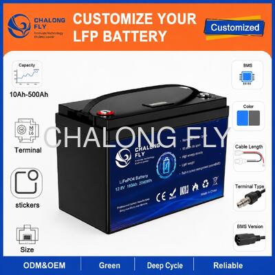 Custom 12.8V 100Ah LiFePO4 Battery Pack with BMS for Solar Street Lights and RV Auxiliary Power