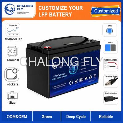 Custom 12.8V 200Ah LiFePO4 Battery Pack with BMS for Portable Power and Solar Storage