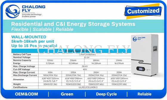 Wall Mounted 51.2V LiFePO4 Residential Energy Storage System Home Solar Battery for Backup Power