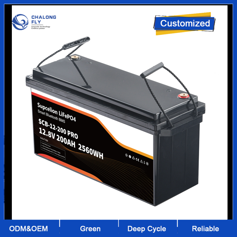 Customized Size 96V 300Ah Marine Lithium Battery with Stainless Steel Case and Thermal Management System