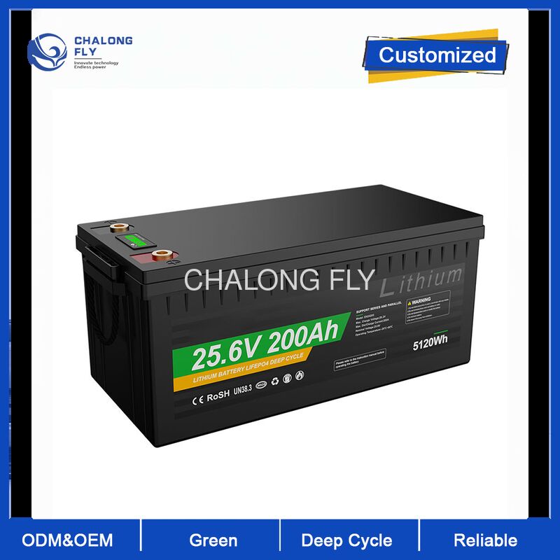 12V 12.8V 24V 25.6V Lithium Battery Pack 100Ah 200Ah 2560WH 2.56KWH for Boats and Electric Forklifts