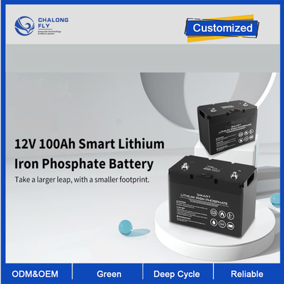 OEM ODM LiFePO4 แบตเตอรี่ลิตিয়াম 12V 100Ah แบตเตอรี่ลิตিয়াম Smart Deep Cycle แบตเตอรี่ลิตিয়ামที่กําหนดเอง แพ็คแบตเตอรี่
