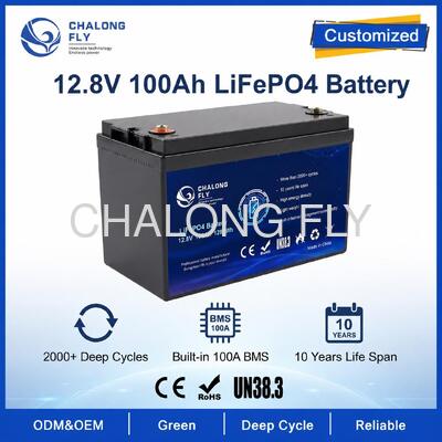 Custom 12.8V 100Ah LiFePO4 Battery Pack with BMS for Solar Street Lights and RV Auxiliary Power วงจรไฟฟ้าไฟฟ้าไฟฟ้าไฟฟ้า