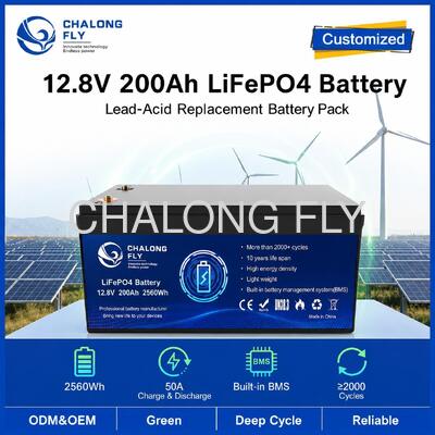 แบตเตอรี่ LiFePO4 ขนาด 12.8V 200Ah พร้อม BMS สําหรับพลังงานพกพาและการเก็บแสงอาทิตย์