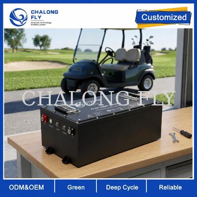 แบตเตอรี่รถกอล์ฟ LiFePO4 OEM ODM พร้อมแรงดันไฟฟ้าที่กำหนดเอง BMS ที่กำหนดเอง และการสื่อสาร CAN