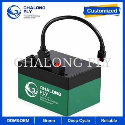แบตเตอรี่รถเข็นกอล์ฟ LiFePO4 12.8V 18Ah 24Ah พร้อมขั้วต่อ T-Bar