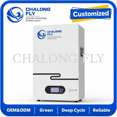 ระบบกักเก็บพลังงานสำหรับที่พักอาศัย LiFePO4 51.2V แบบติดผนัง แบตเตอรี่โซลาร์เซลล์สำหรับบ้านสำหรับพลังงานสำรอง